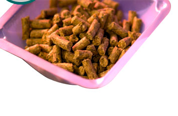 Agricultural Mineral Testing